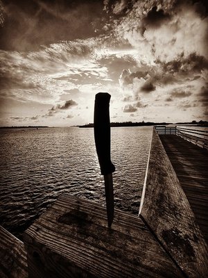 cover image of The Son of Saint Death